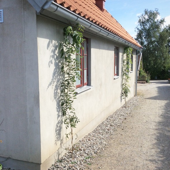 bild-5